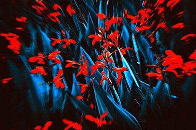 《双点博物馆》多平台发售 经典模拟经营新作